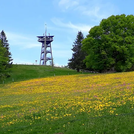 Sport Rees - Ulrike * Hofsgrund